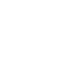 Tritonmark agency team and services