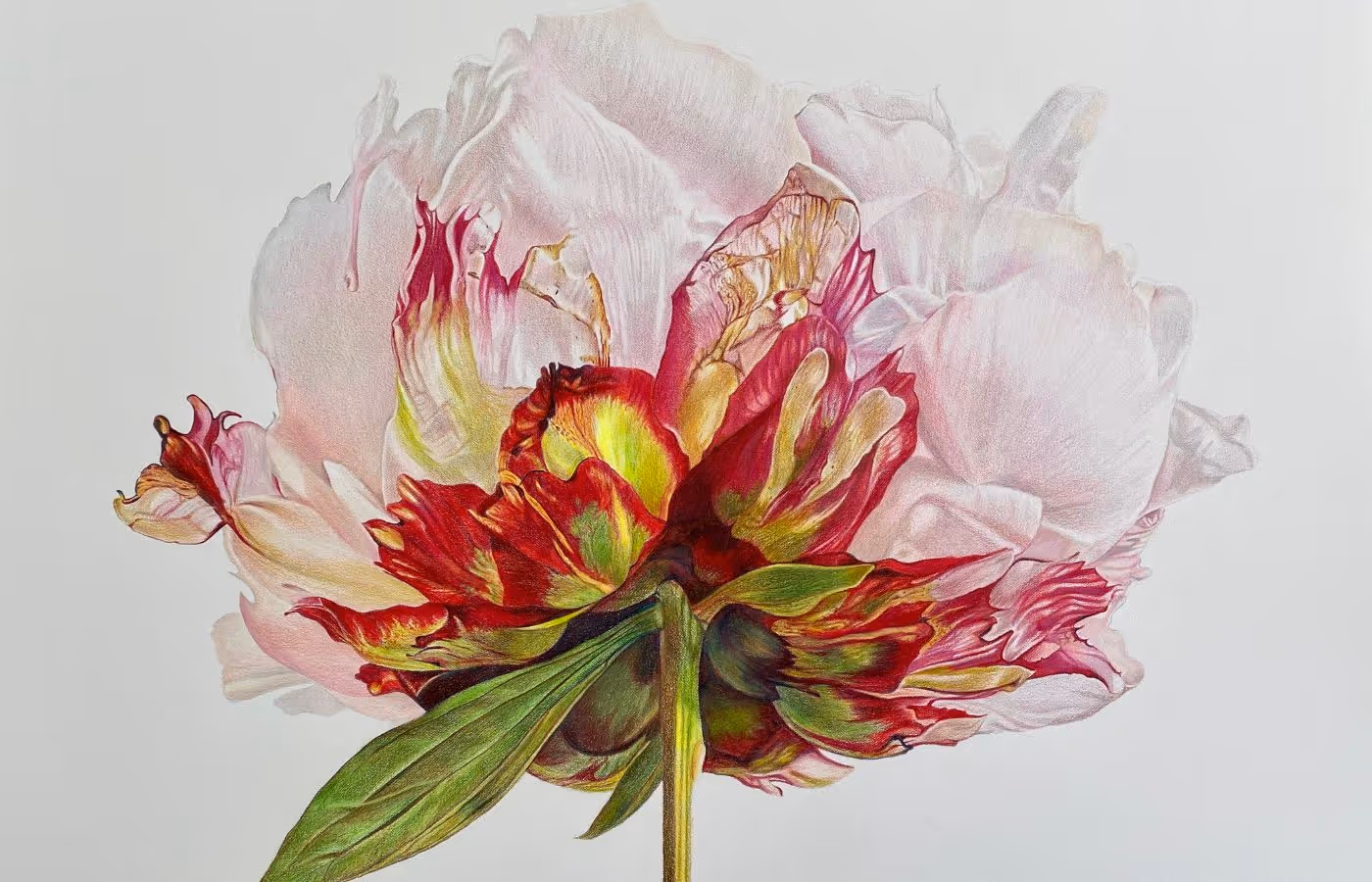 The Creative Watercolor Sketchbook - Patti Adams
