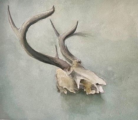 Watercolor Painting Still Life (Beginning & Intermediate) - Sean Friloux