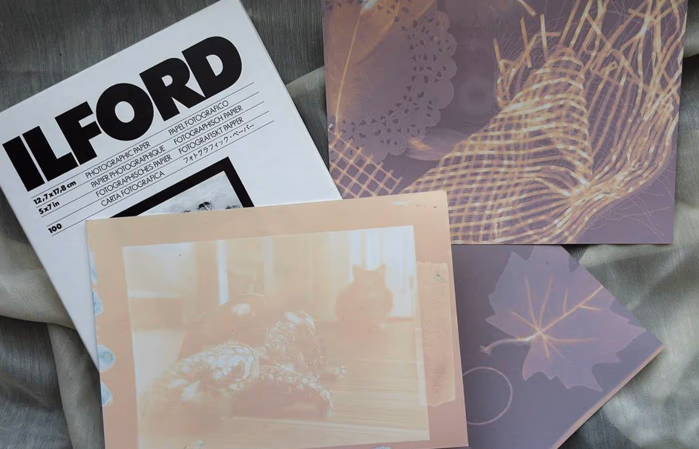 Open Studio: Printmaking - Jono Goodman