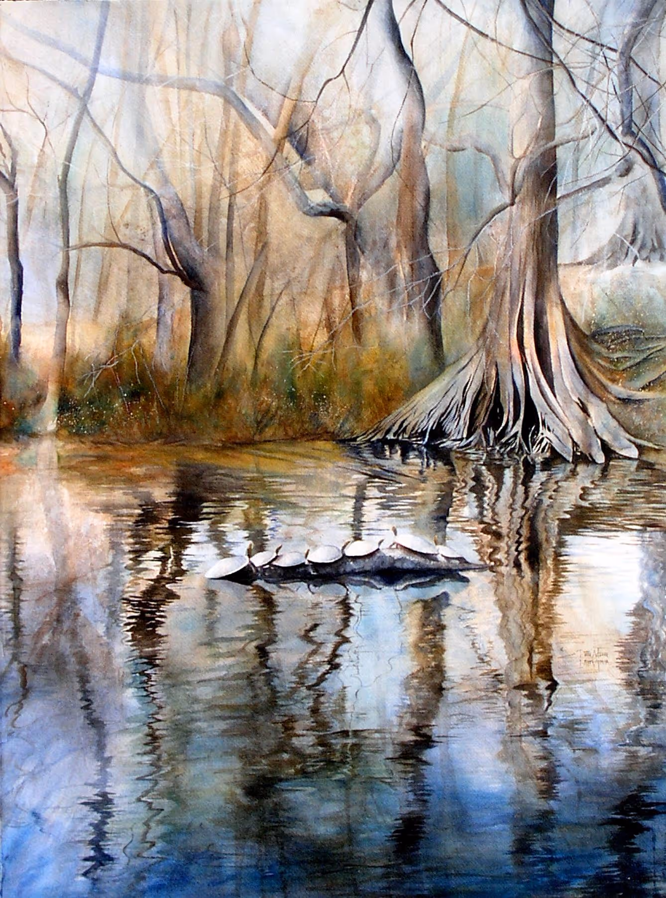 The Joys of Transparent Watercolor (FULL) - Patti Adams