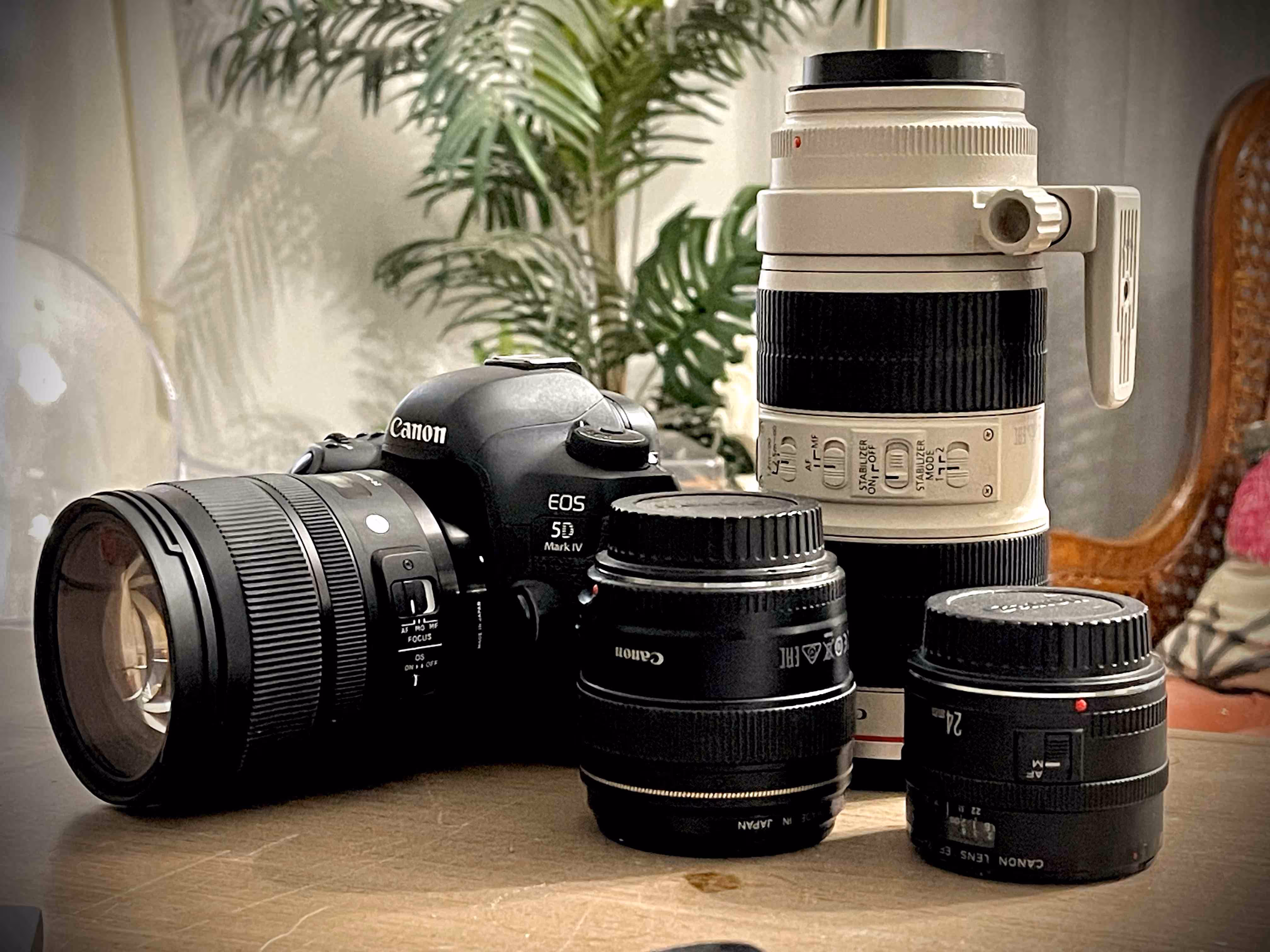 Digital Phtography for Beginners - Helen Reed