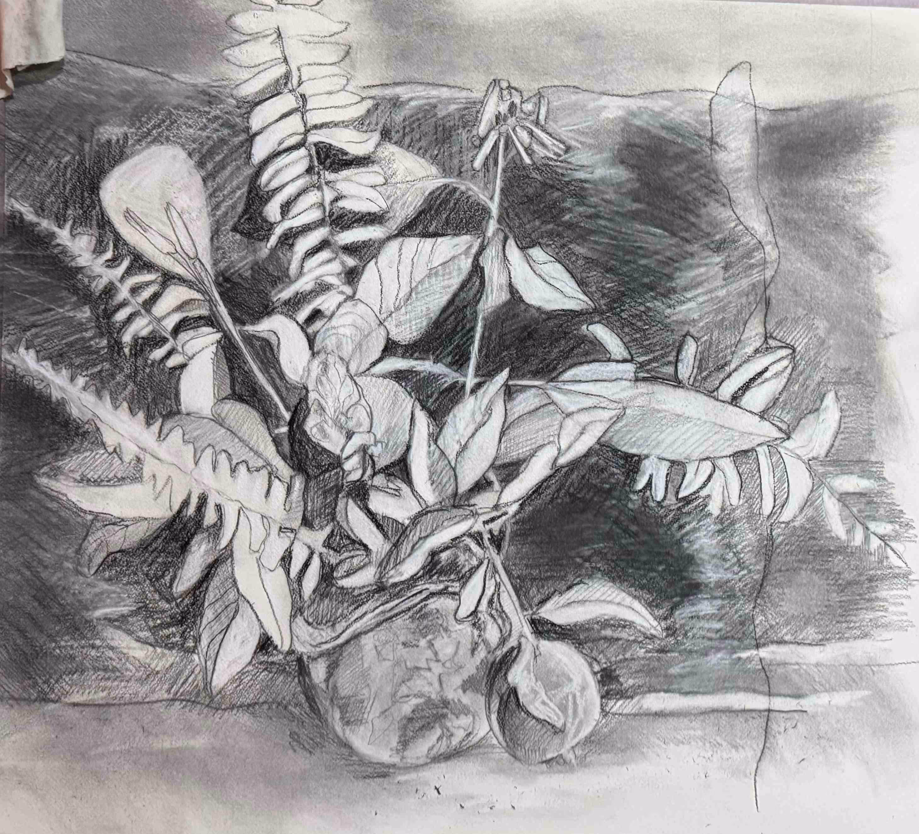 Expressive Drawing - Rebecca Madura