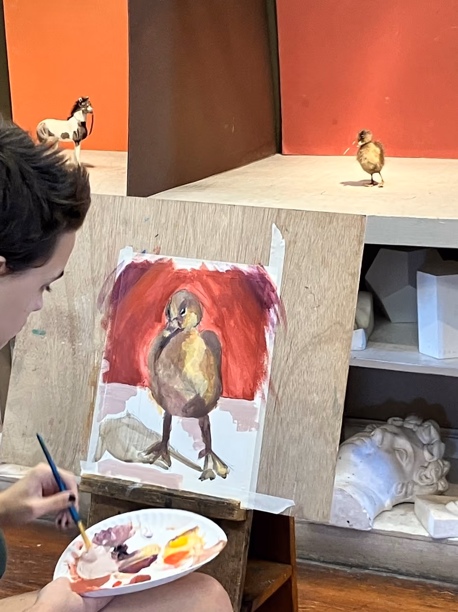 Portfolio Development II (12-17 yrs) - Dave Hotstream