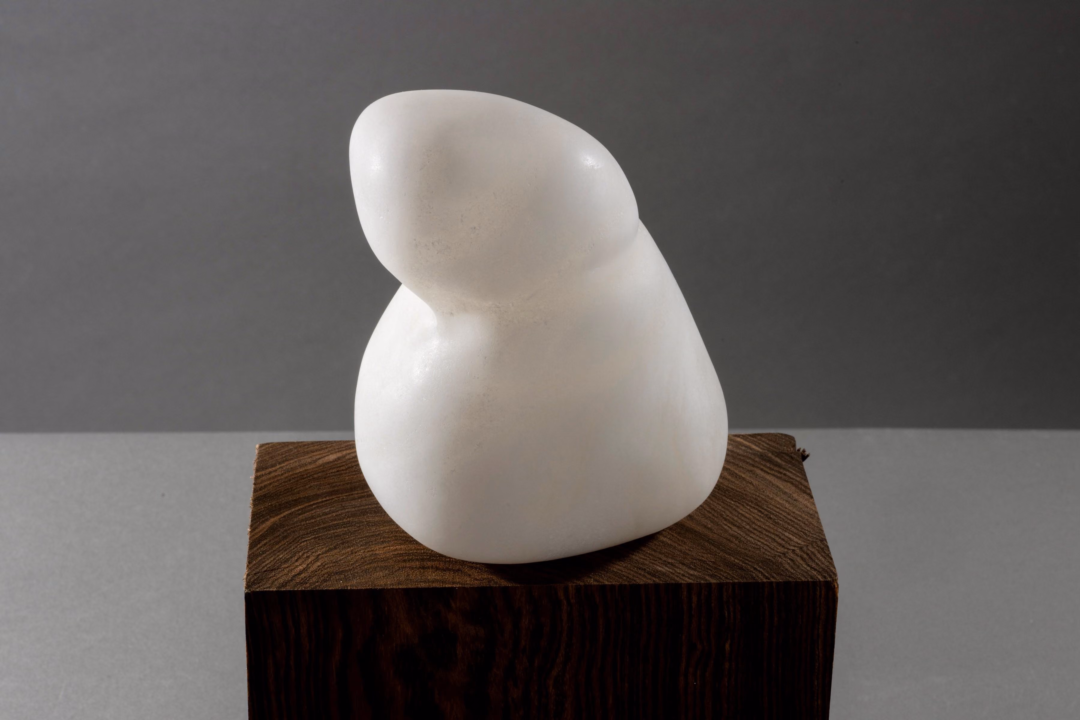 Intro to Stone Carving: Biomorphic Forms in Alabaster - H. Grace Boyle