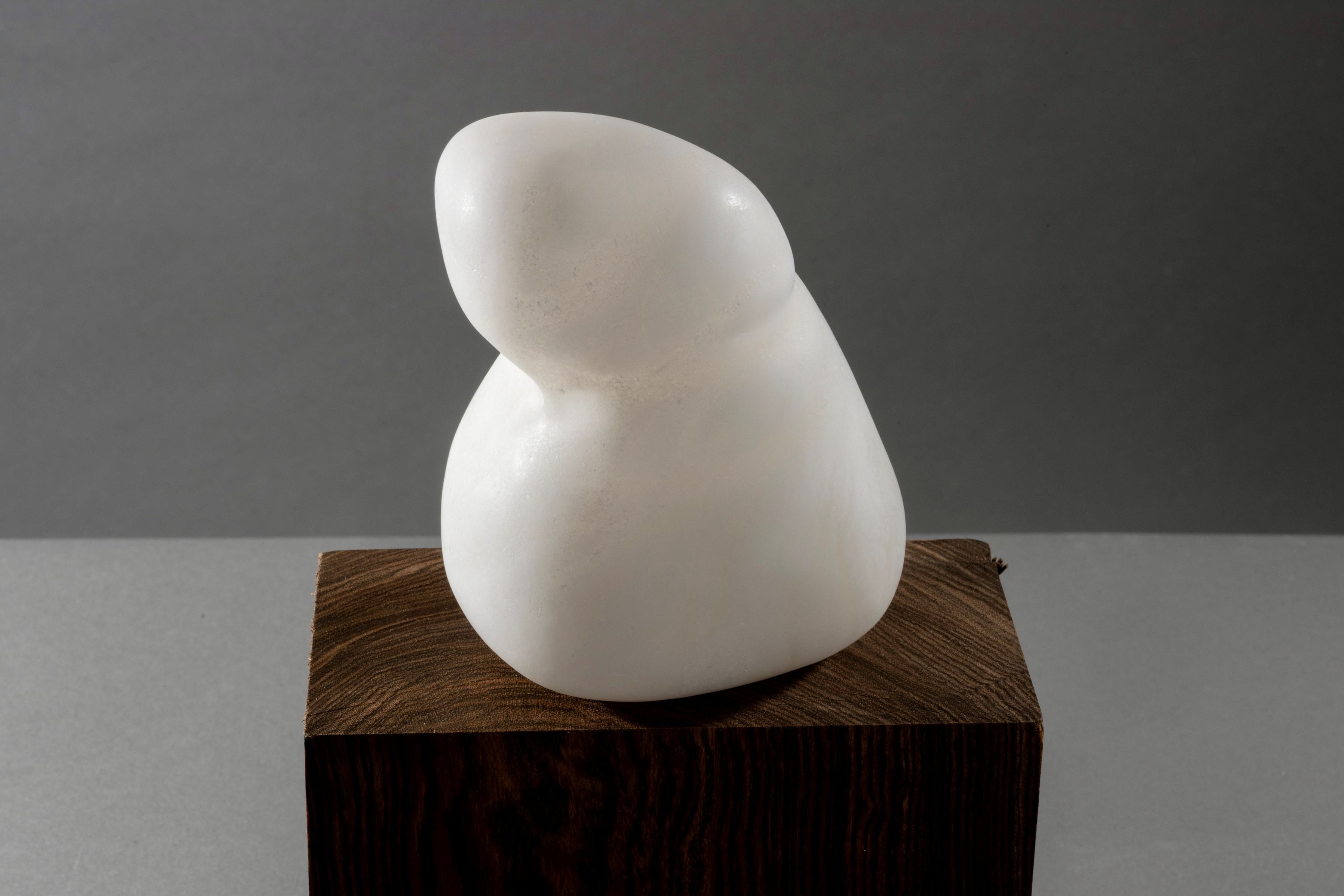 Intro to Stone Carving: Biomorphic Forms in Alabaster - H. Grace Boyle