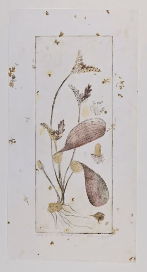 Etching - Intaglio Printing from the Etched Copper Plate - Frances Swigart