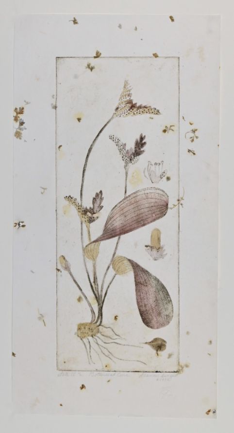 Etching - Intaglio Printing from the Etched Copper Plate - Frances Swigart