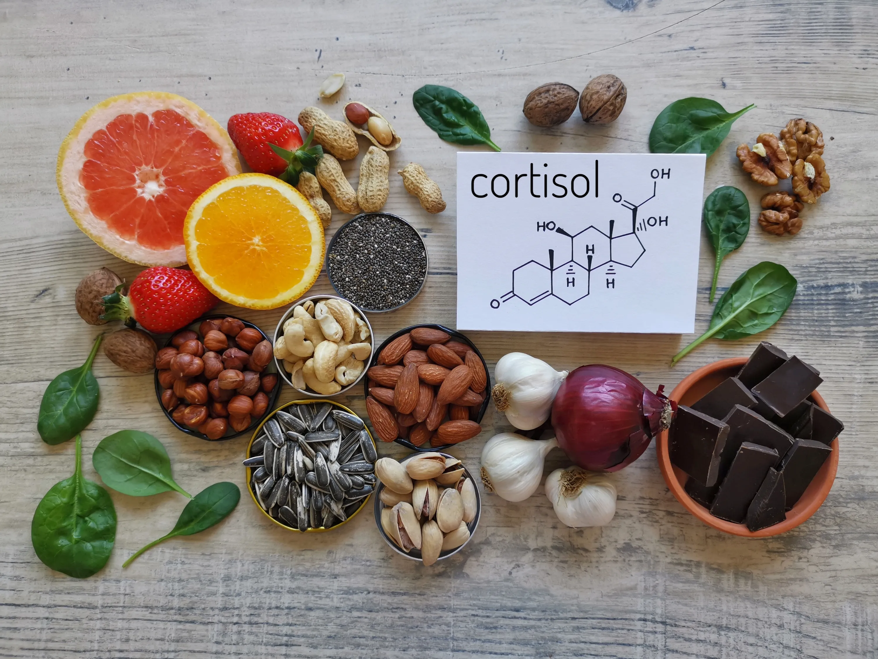 Lebensmittel wie Nüsse, Samen, Obst und Gemüse rund um eine Cortisol-Grafik als Symbolbild für die Cortisol-Diät.