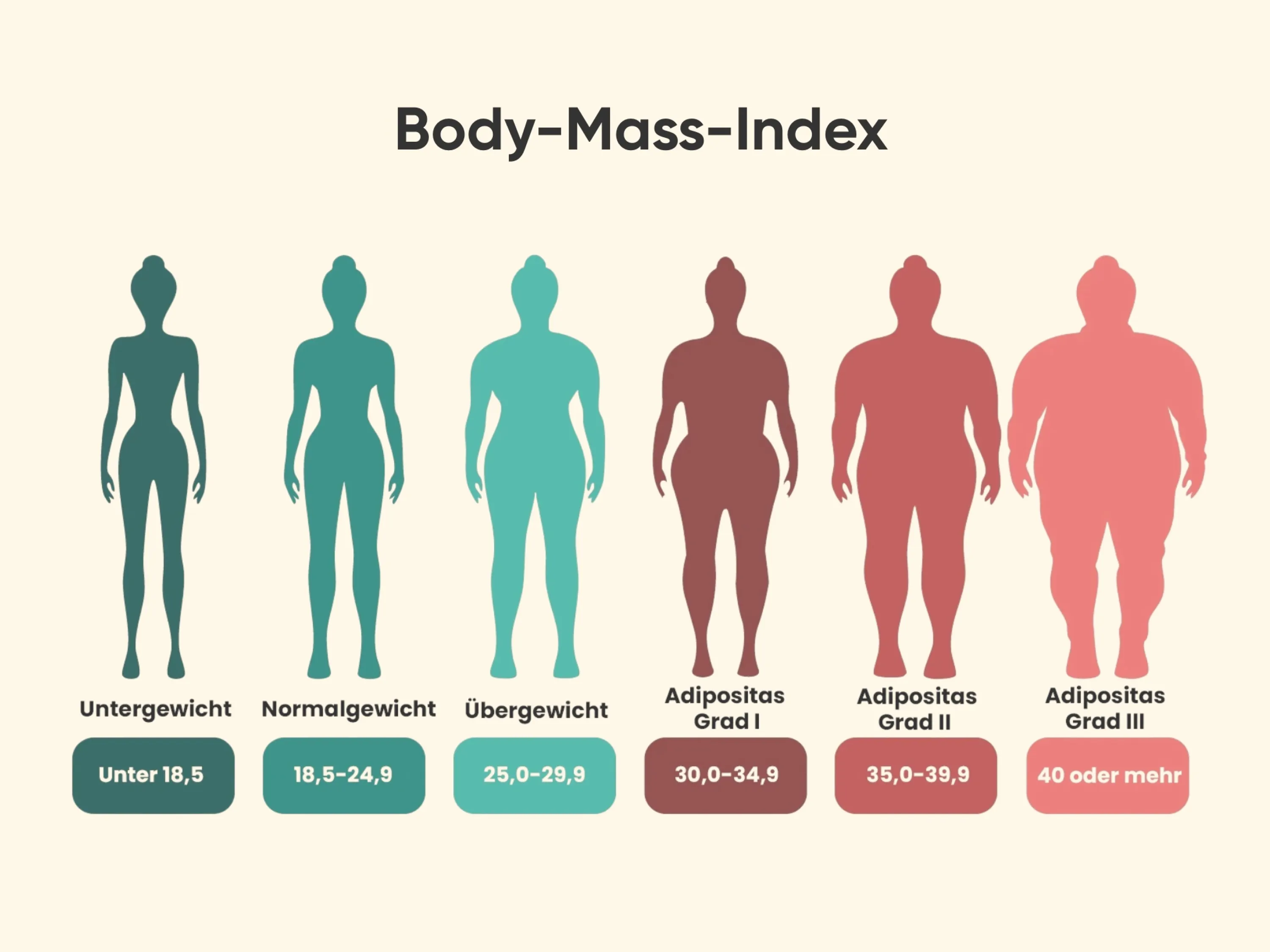 Infografik zum Body-Mass-Index (BMI) mit Einteilung von Untergewicht bis Adipositas als Orientierung für den Einsatz von Saxenda® bei Übergewicht und Adipositas.