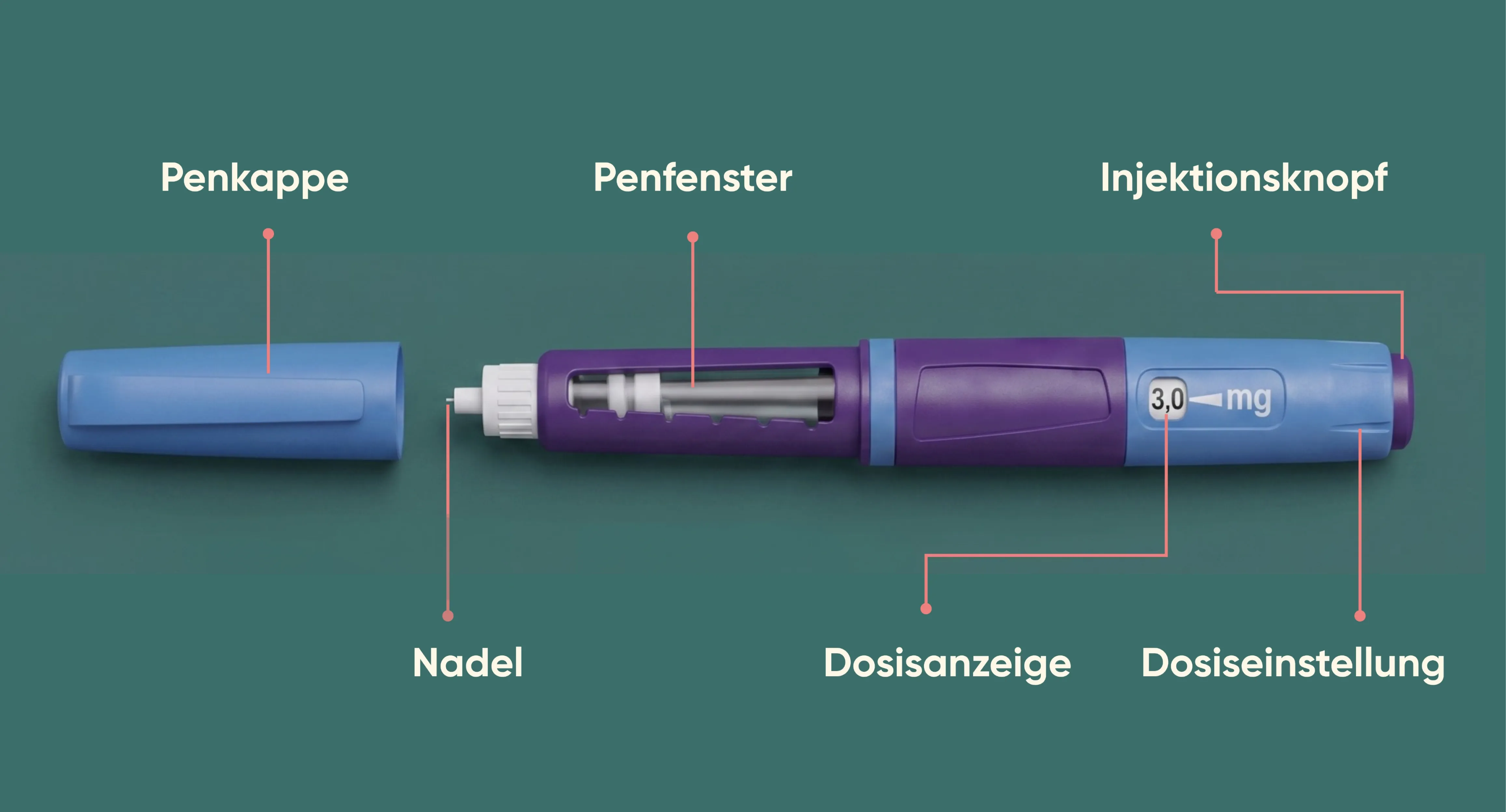 Infografik eines Injektionspens mit Beschriftung der einzelnen Bestandteile wie Nadel, Penkappe, Dosisanzeige und Injektionsknopf am Beispiel des Medikaments Saxenda®.