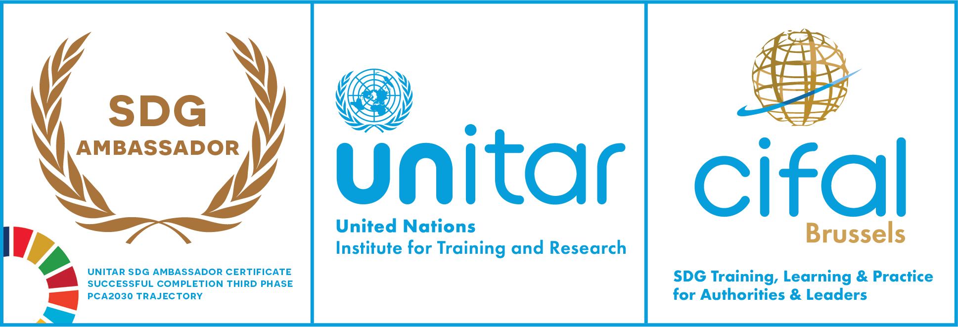 SDG Ambassador certificate – UNITAR and CIFAL Brussels