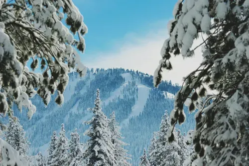 ski slopes in winter
