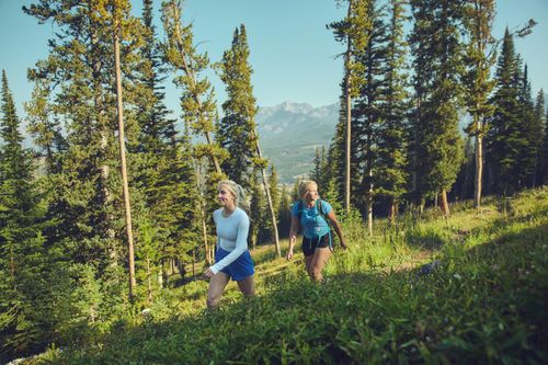 wellness membership