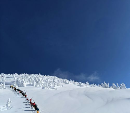 gravity haus member trips
