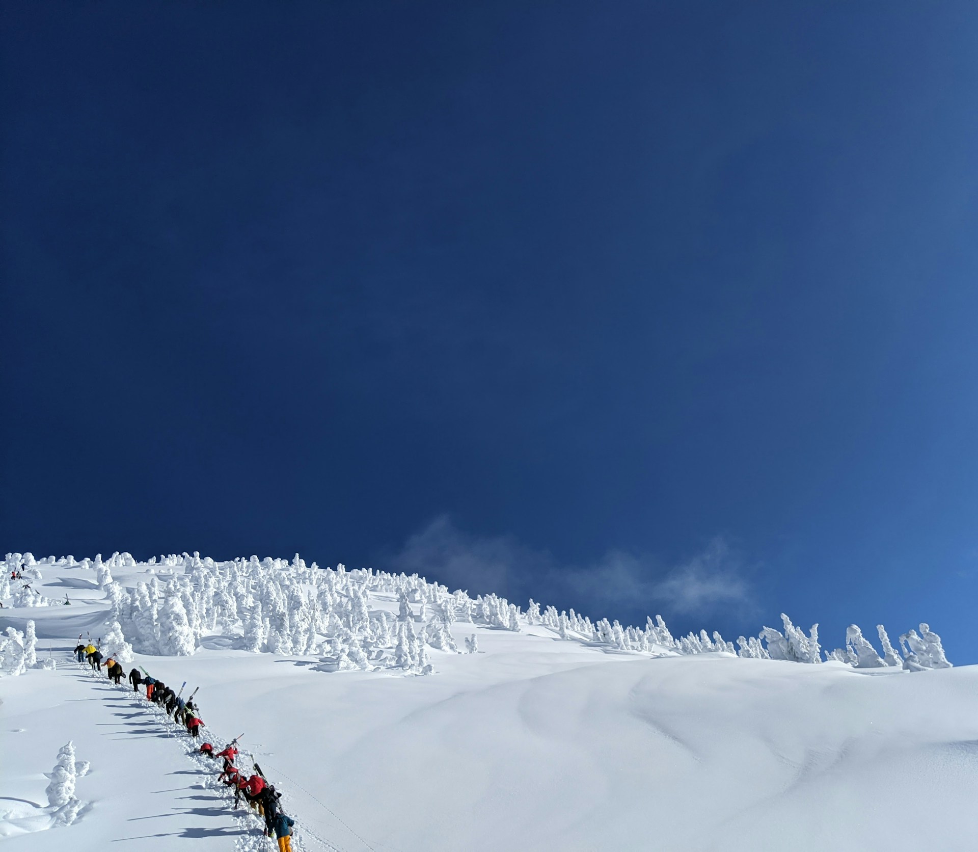 Gravity Haus Revelstoke