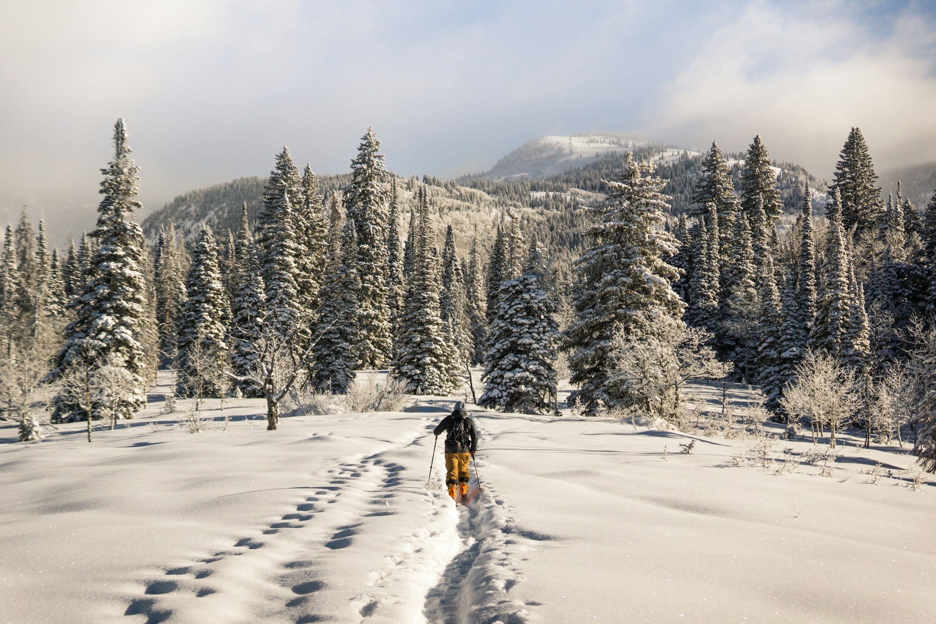 things to do in steamboat