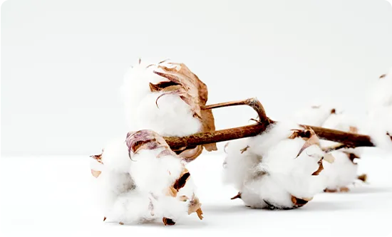 Organic cotton raw material textile certification