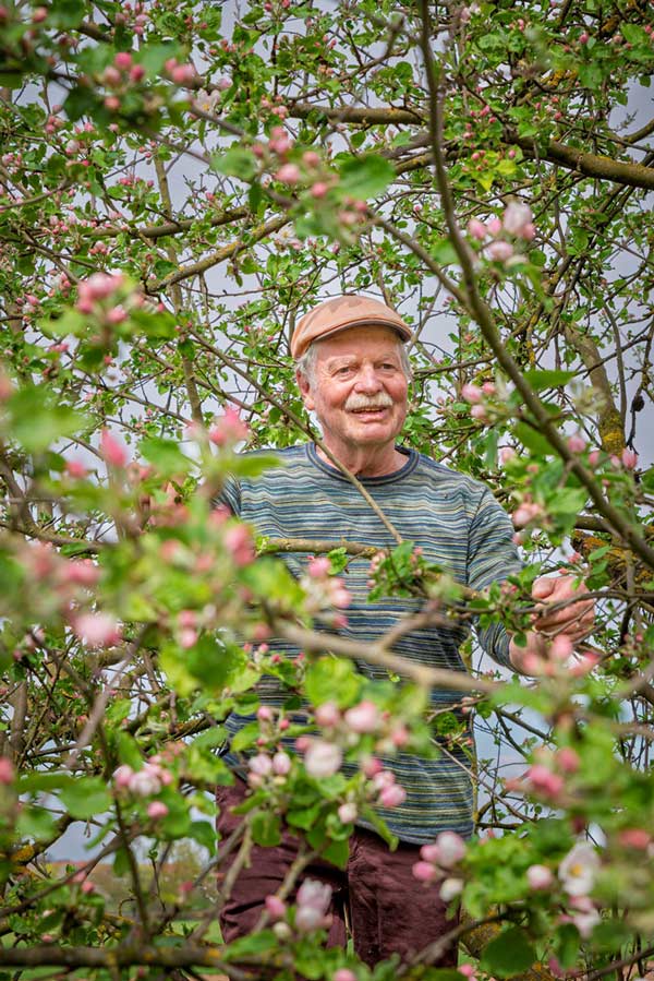 Obstplantage am Dottenfelderhof – Bäume in Reihe