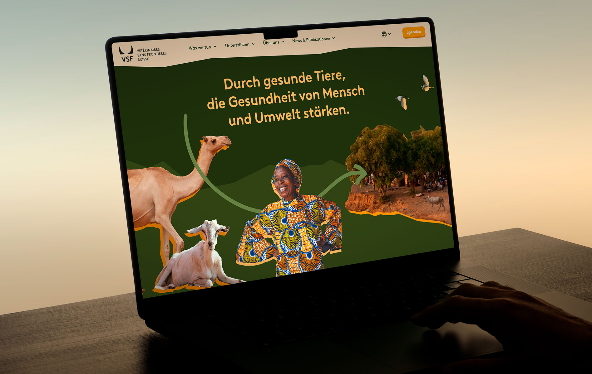 home teaser des neuen veterinaires sans frontieres suisse projekts