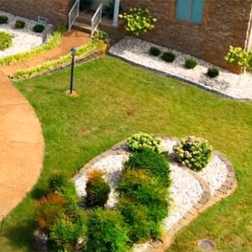 A neatly mulched garden bed with vibrant plants and rich, dark mulch.