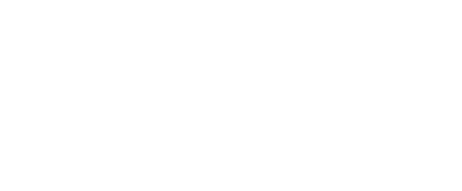Wylie City Logo