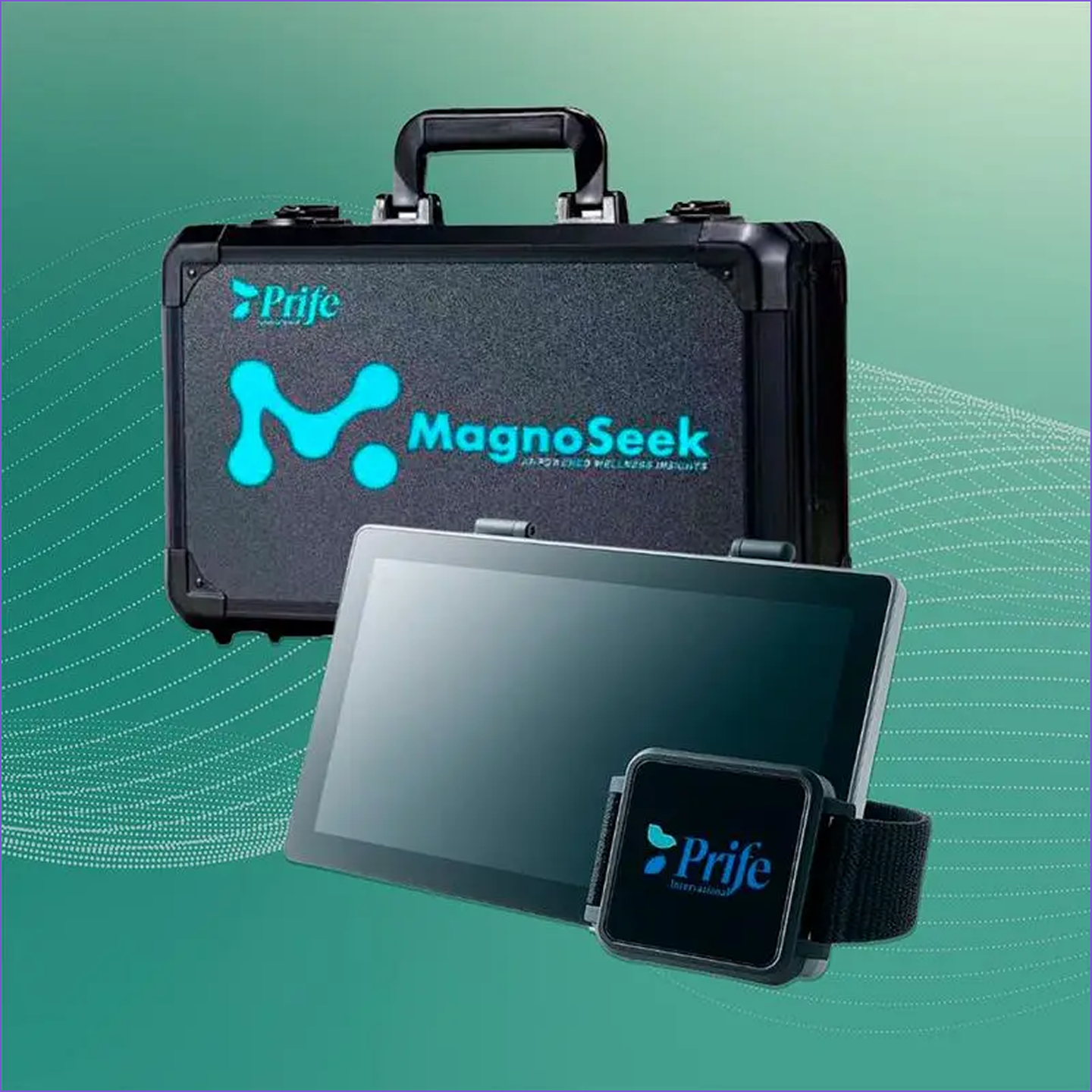 ionshield