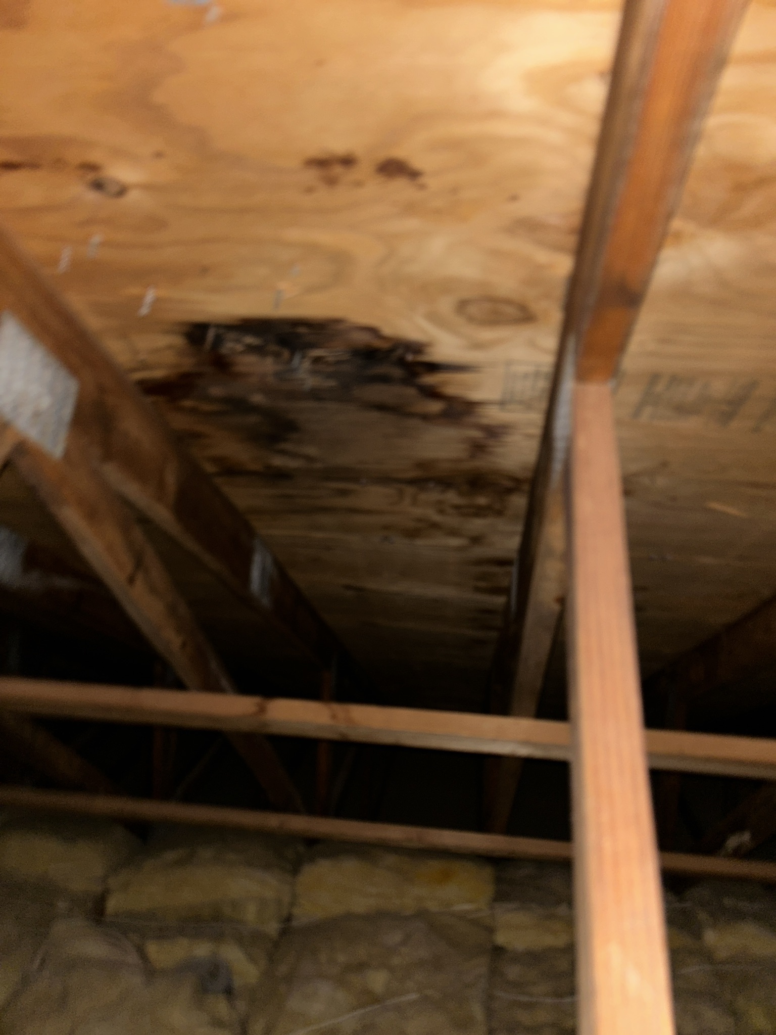 Remove four (4) 5V crimp panels in the affected area to access and replace the damaged roof decking beneath.