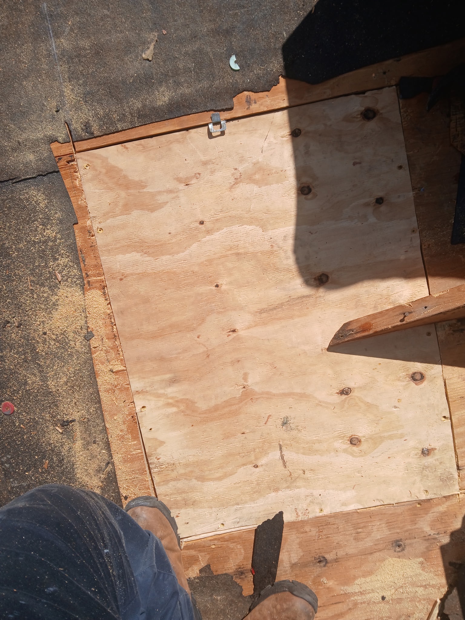 Replace the damaged roof decking on Alva home