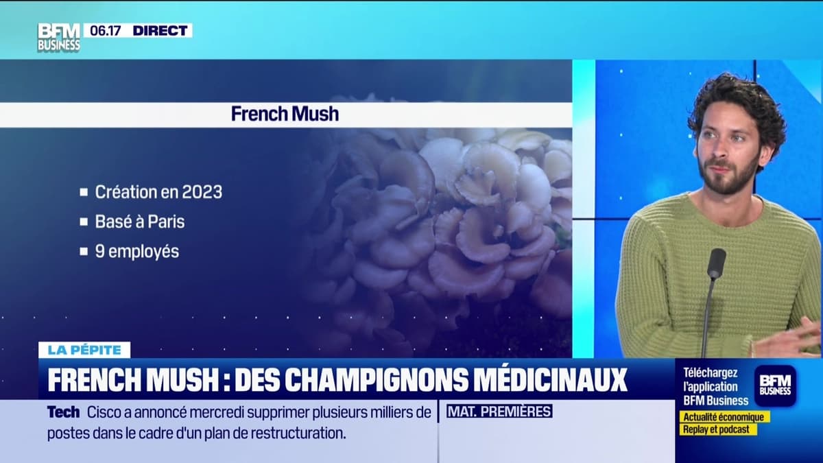 Antoine Alibert : Fondateur de French Mush et Pionnier des Champignons Adaptogènes