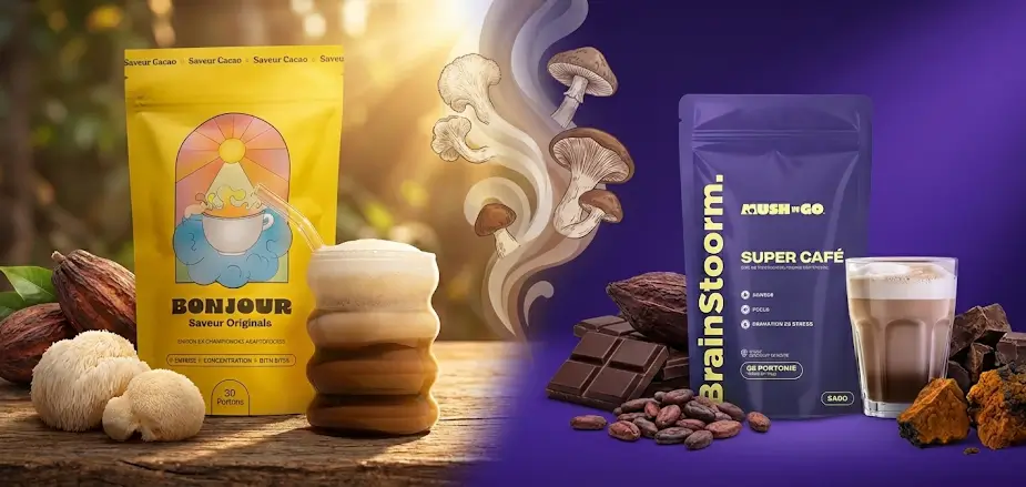 Bonjour Drink vs Mush’n’go : Le duel final pour choisir votre café aux champignons en 2026