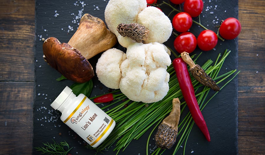 Hericium erinaceus : le guide complet du champignon crinière de lion