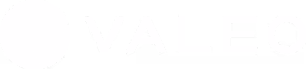 2020INC logo