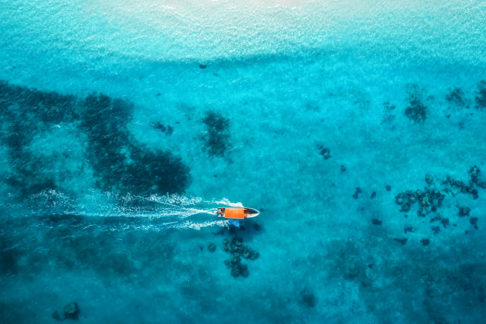 A split image of Apolo Ohno speed skating and a marathon runner