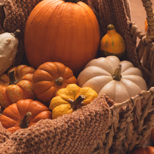 Pumpkins
