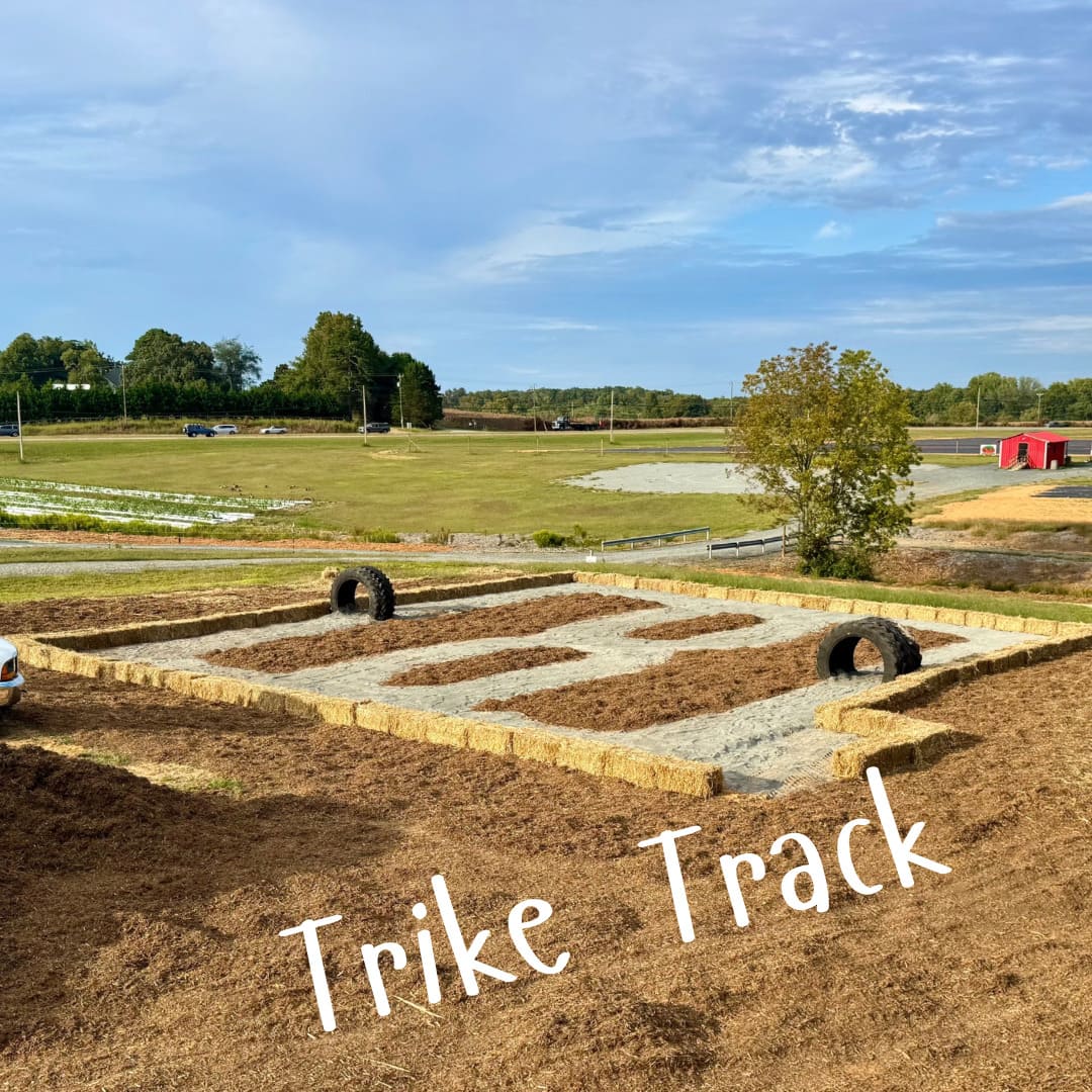 Trike Track
