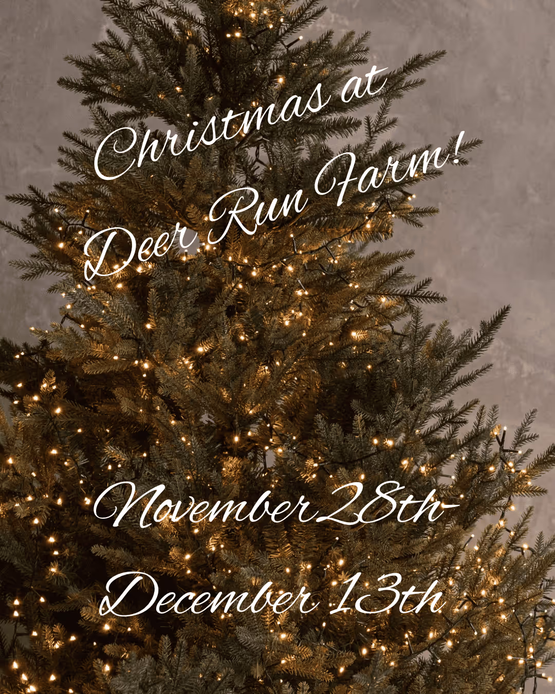 Christmas tree decorated with warm white lights and text announcing Christmas at Deer Run Farm from November 28th to December 13th.