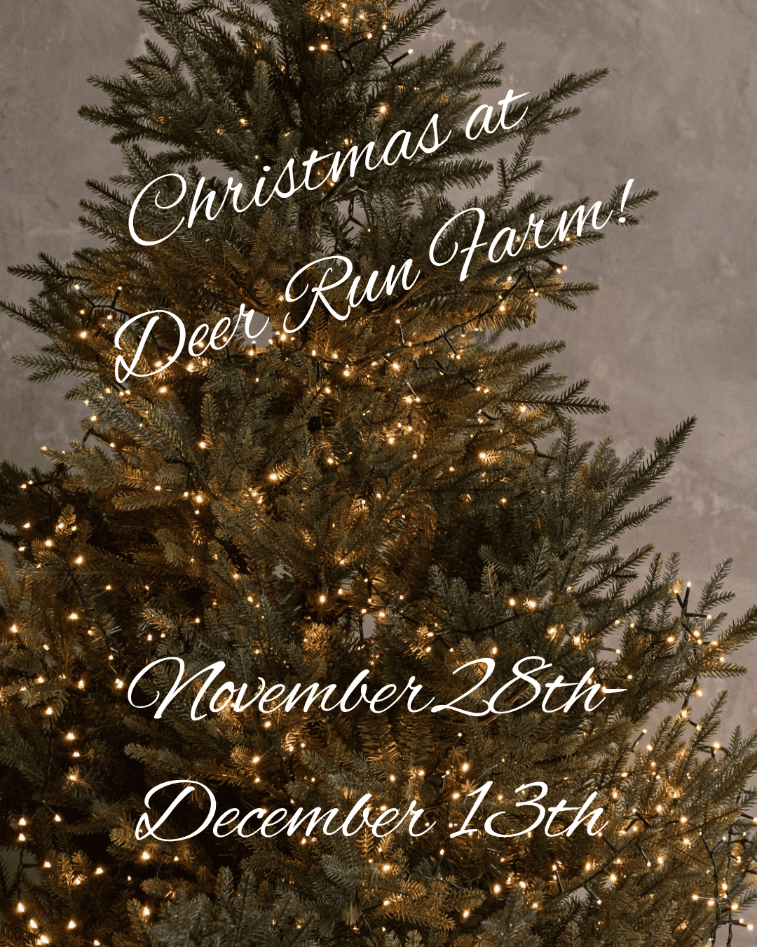 Christmas tree decorated with warm white lights and text announcing Christmas at Deer Run Farm from November 28th to December 13th.
