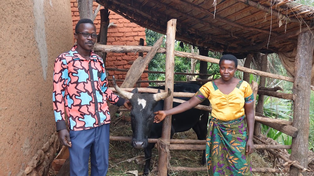 A farmer with their cow in Burundi.