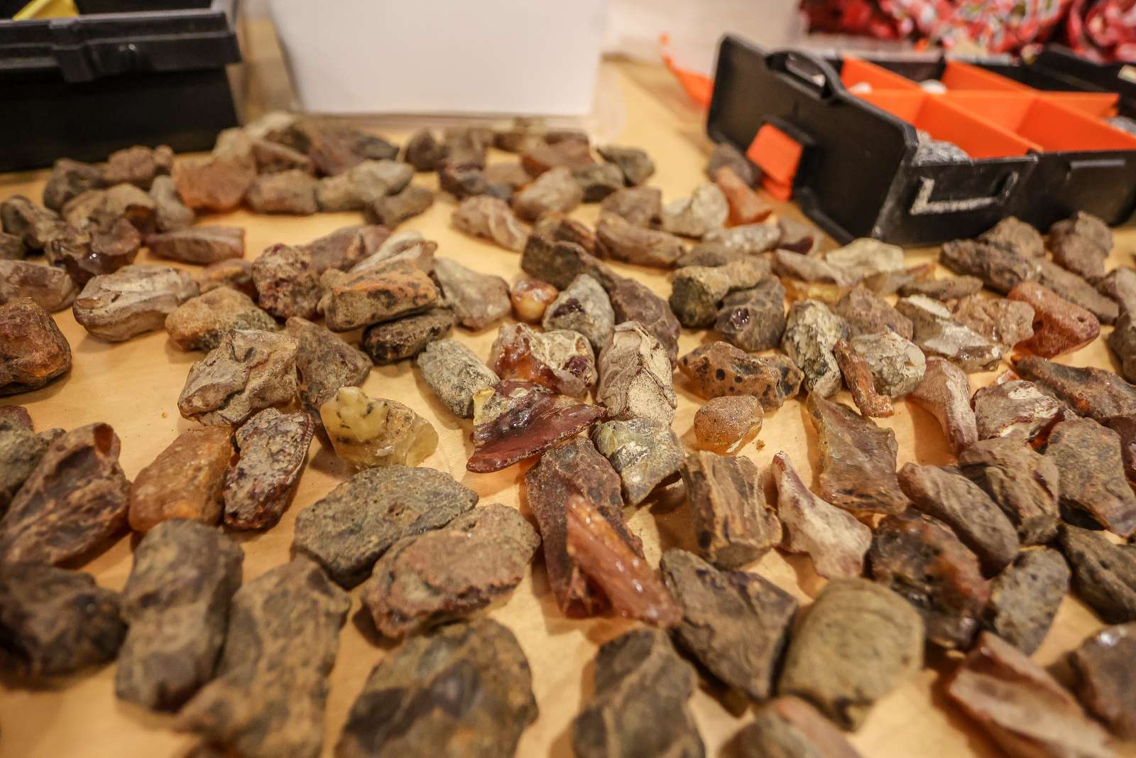 Bicie rekordu Światowej Stolicy Bursztynu w równoczesnym szlifowaniu i polerowaniu bursztynu bałtyckiego