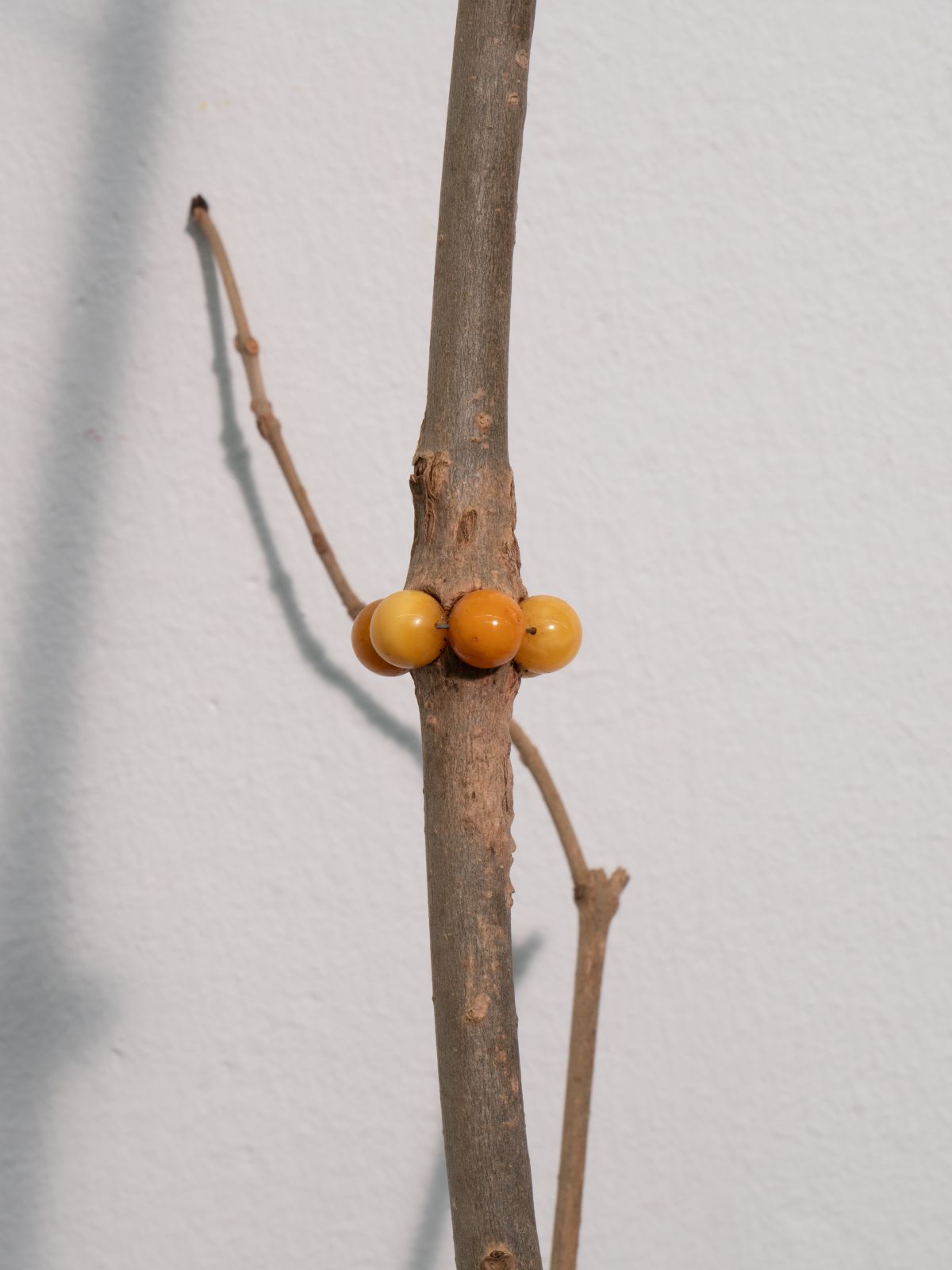 Magic Tree Gisberta Stacha wyróżnione w konkursie Amberif Design Award 2026