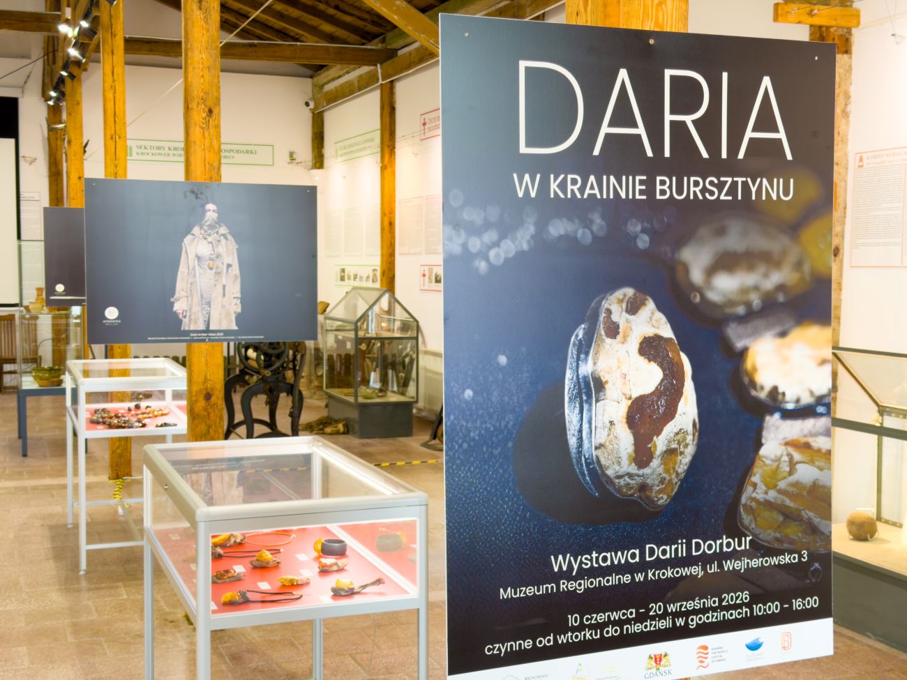 Daria w krainie bursztynu
