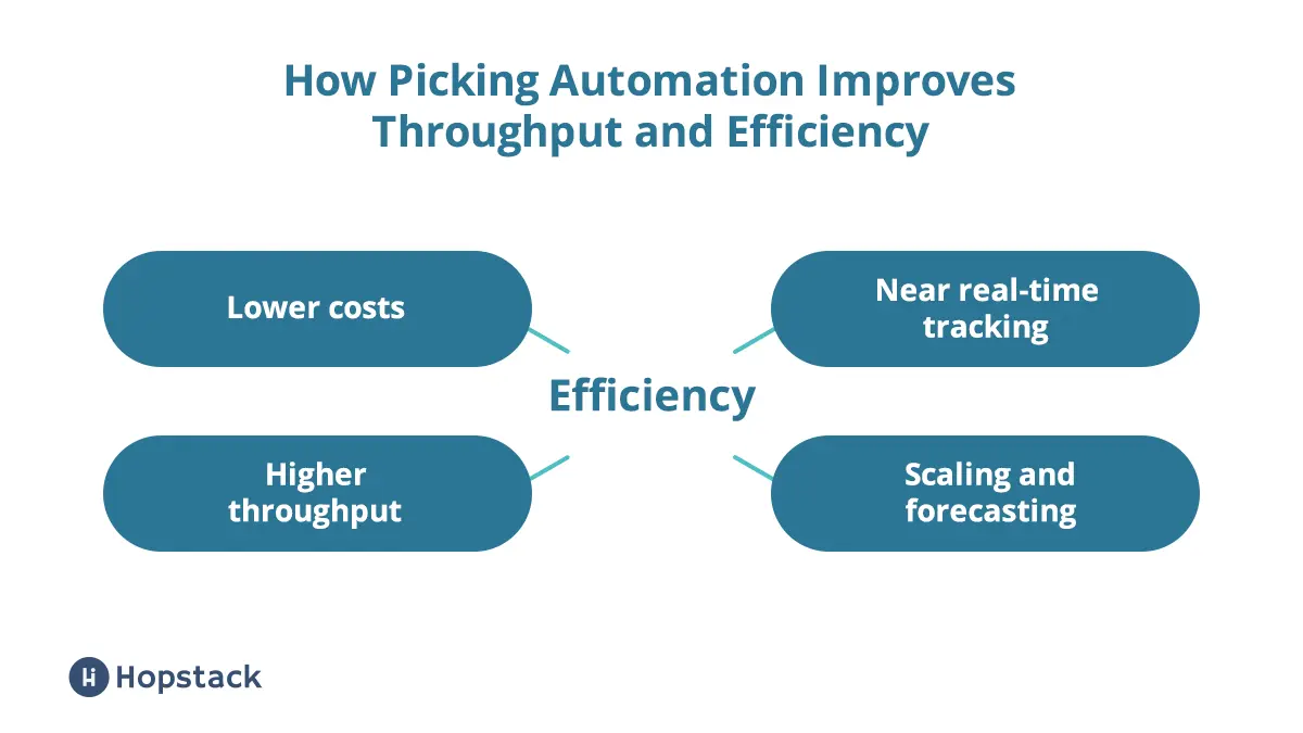 Picking Automation Improves Throughput and Efficiency