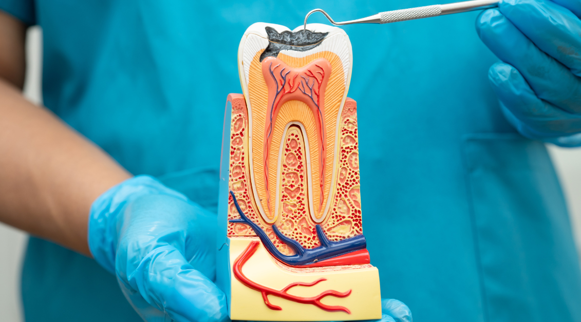 Cuándo elegir un conducto o endodoncia: signos clave, beneficios y opciones