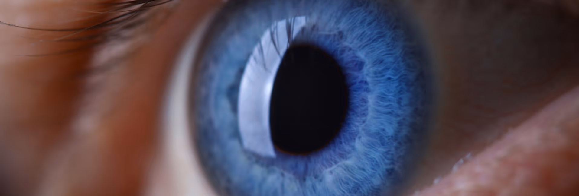 Close up of eye with blue iris