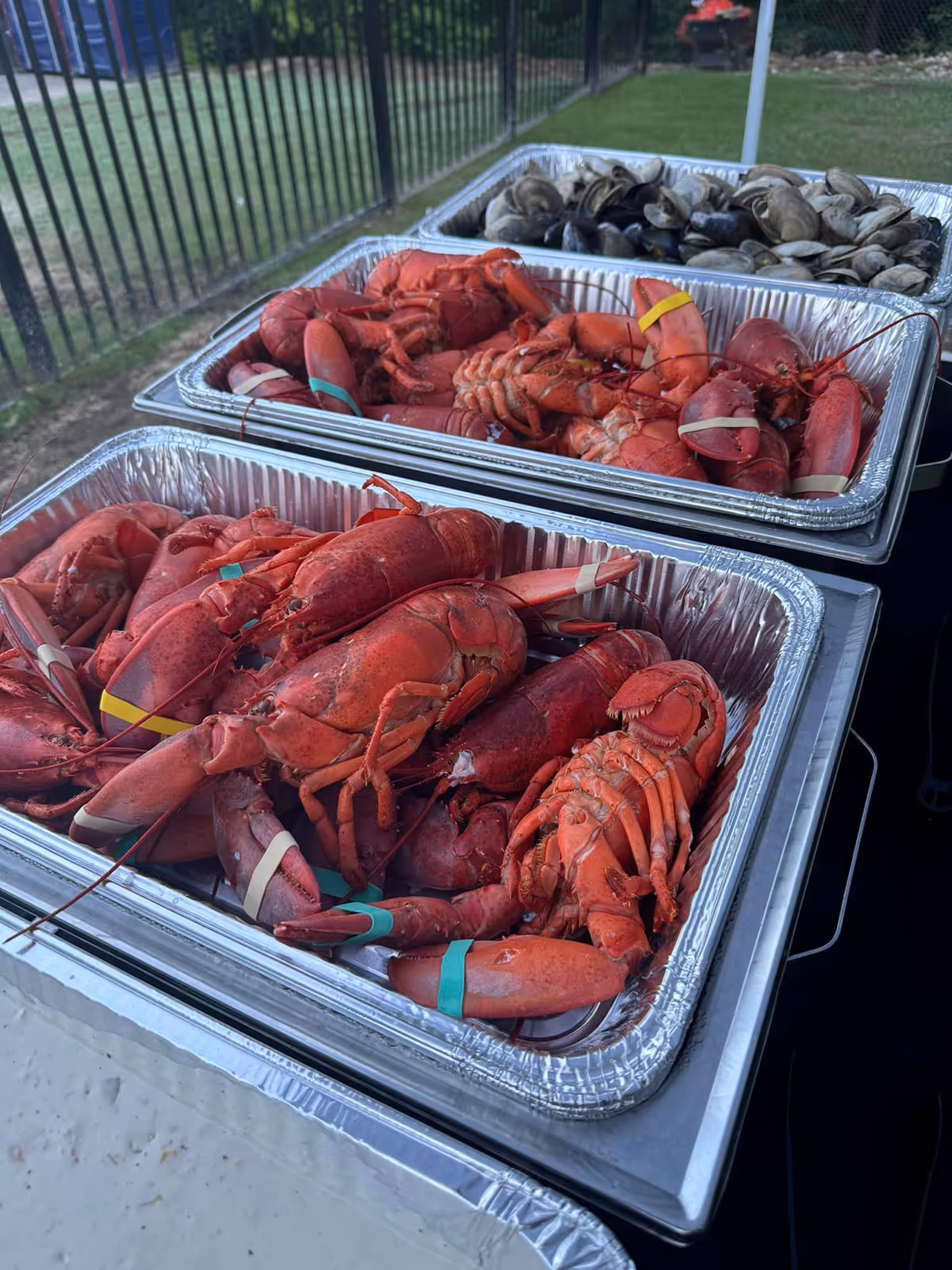 lobster in containers