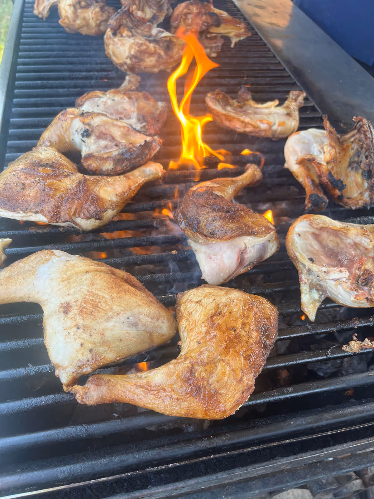 grilled chicken