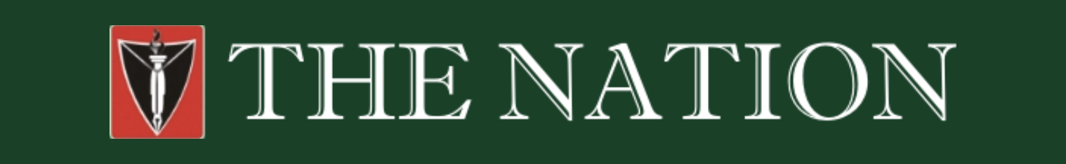 Thenationonlineng.net