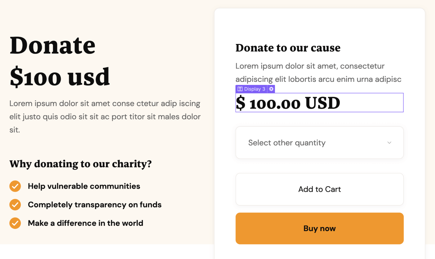 eCommerce Page - Philanthropy X Webflow Template