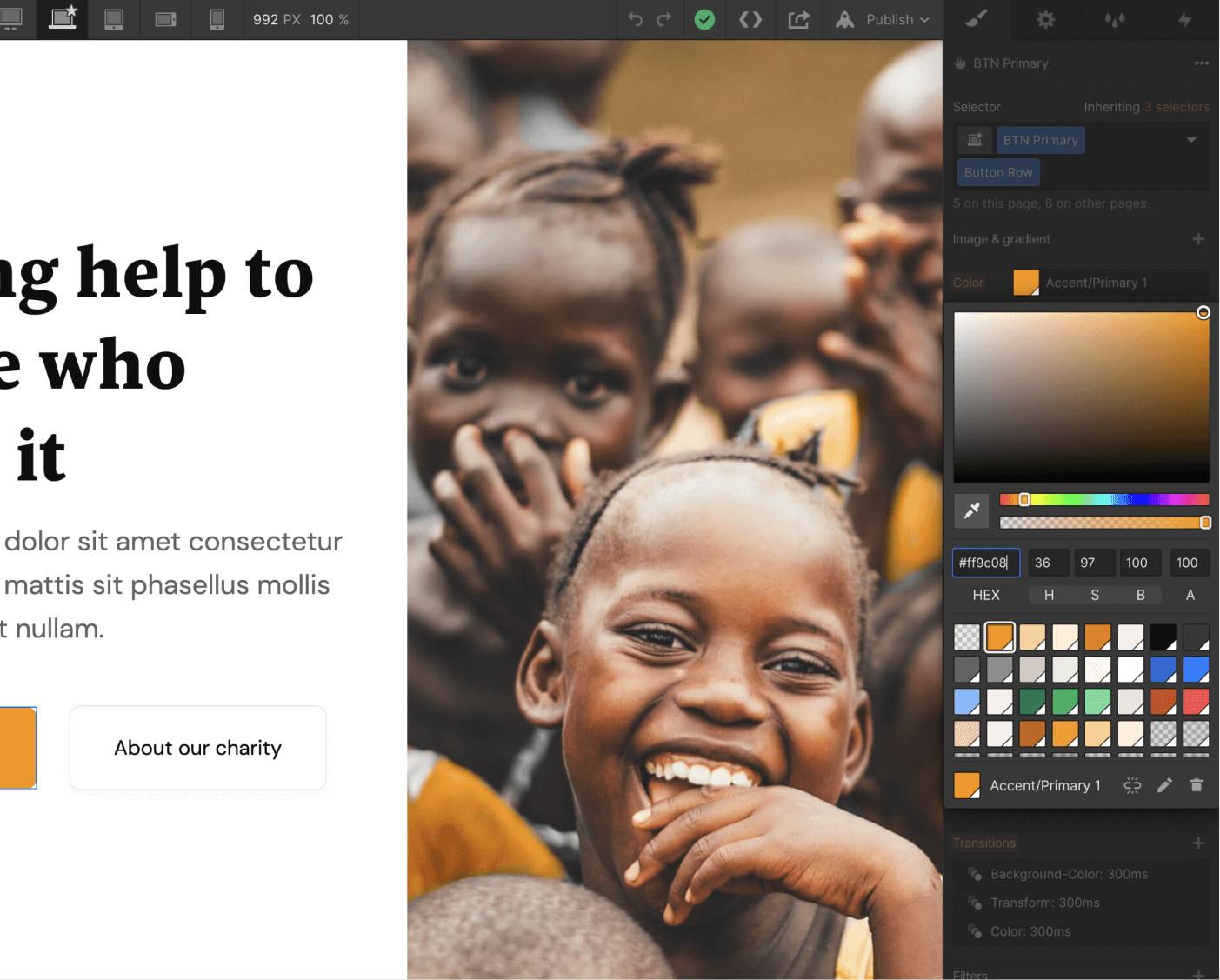 Colors - Philanthropy X Webflow Template